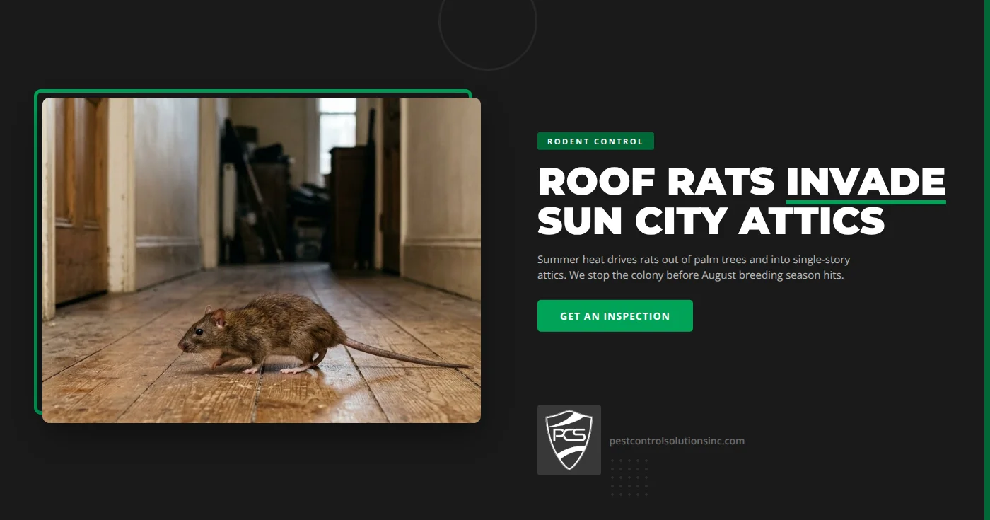 Roof Rats in Sun City, NV: How Summer Heat and Palm Trees Drive Infestations