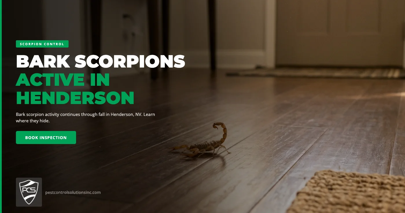 Bark Scorpions in Henderson, NV: Why Fall Doesn't Mean the End of Scorpion Season