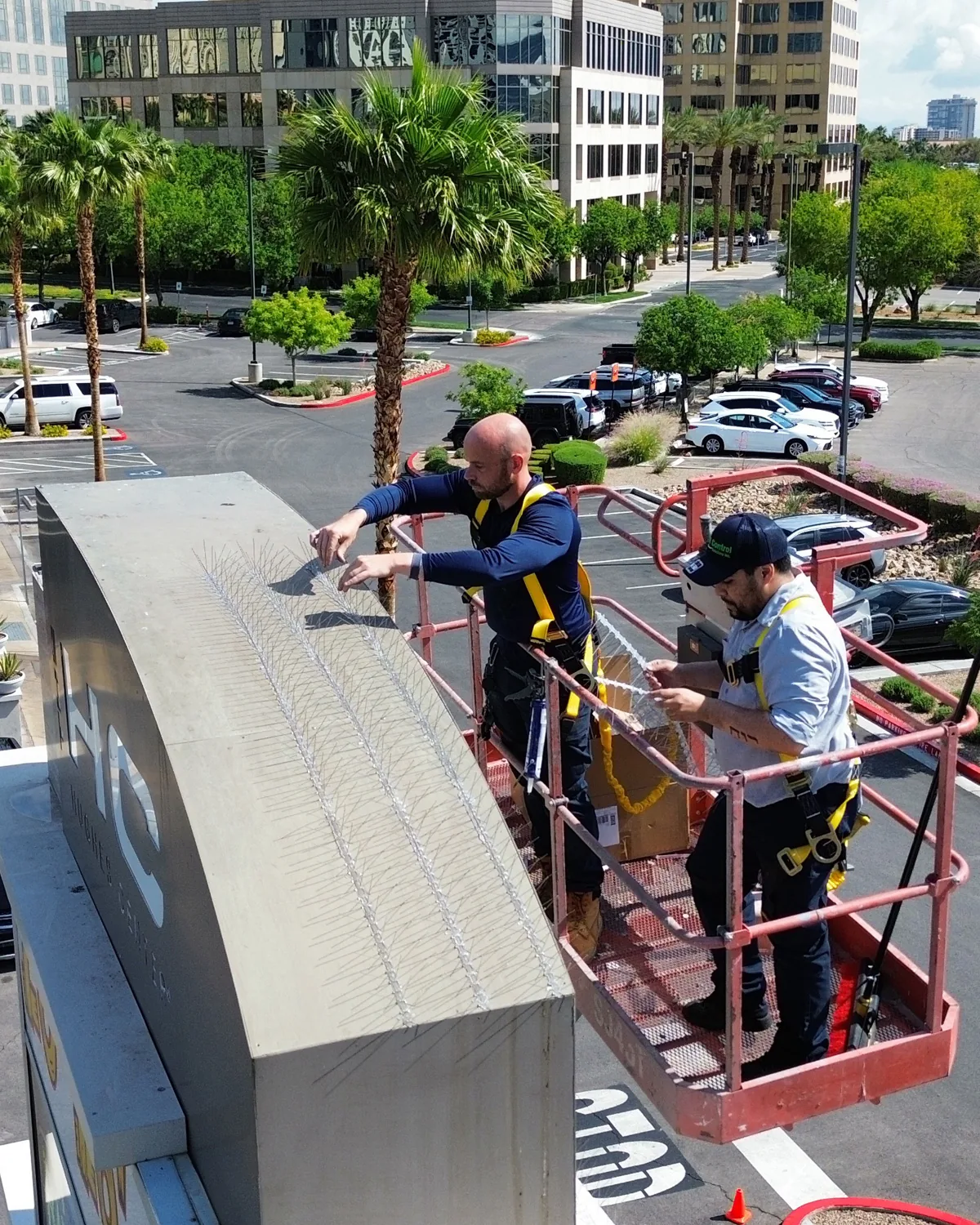 Pigeon perched on a Las Vegas commercial property awning